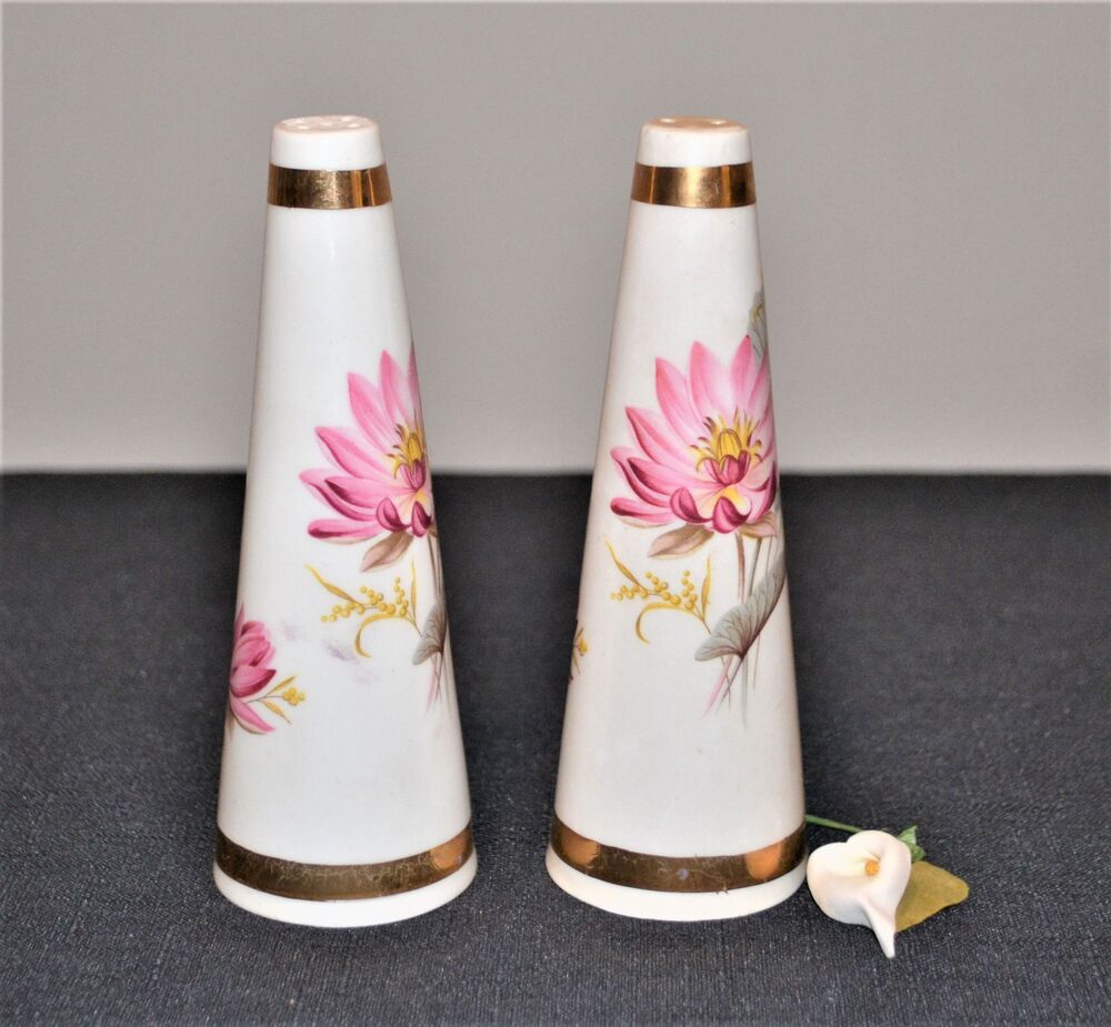 Vintage English Bone China Chrysanthemum Royal Stuart Shakers